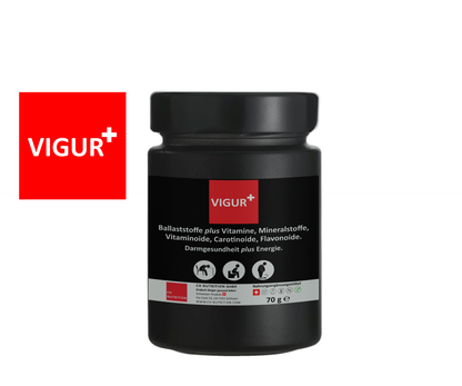 VIGUR - Darmgesundheit plus Energie